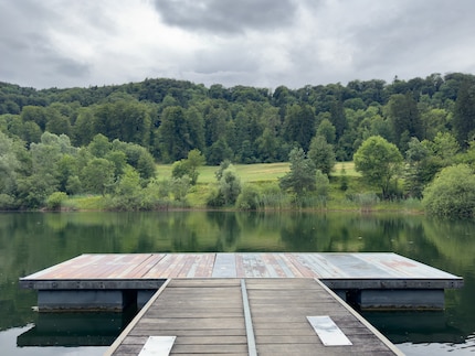 An unprocessed raw image from the main camera of the iPhone 14 Pro with the embedded colour profile