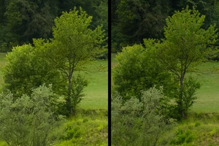 With its higher resolution, the Sony Alpha 7RV (right) shows finer details than the Xperia (left).