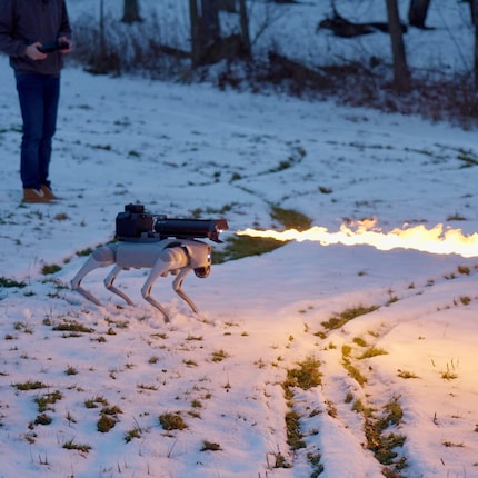 A smartphone with a gamepad is all you need to command the fire-breathing dog.