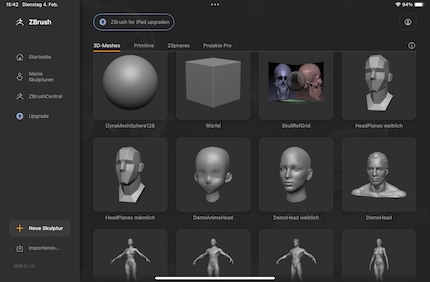 Modèles 3D, de la sphère au corps entier.